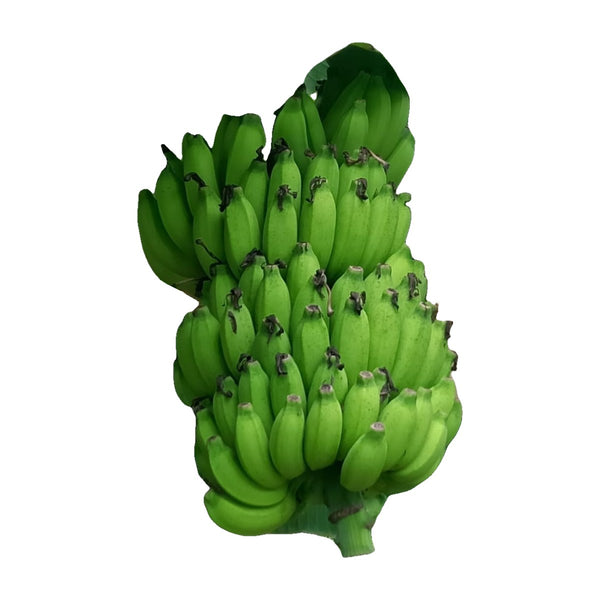 Green Plantains (each)