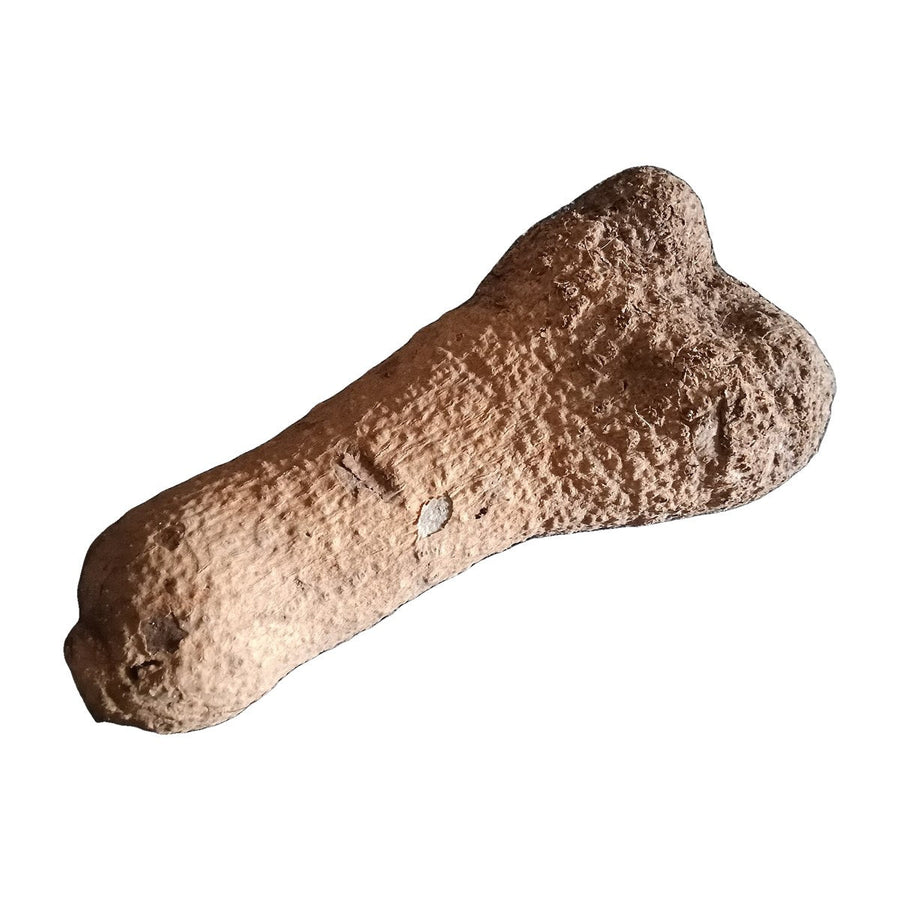 African Puna Yam (Ghana Yam)